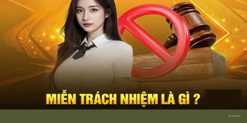 Trách nhiệm và miễn trách nhiệm Thabet và thành viên