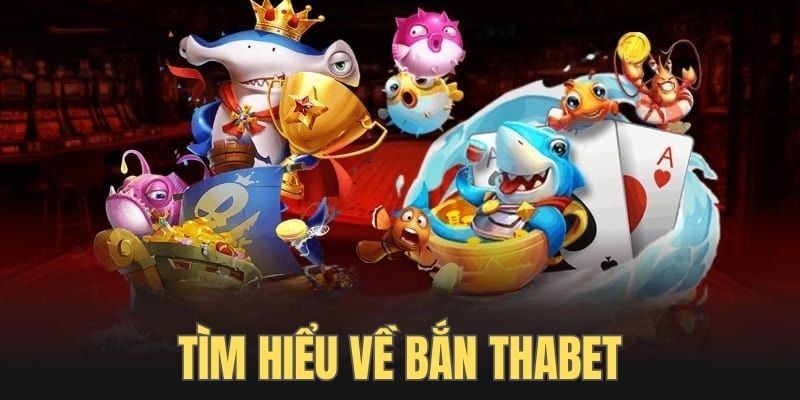 Tìm hiểu về trò chơi săn đại dương để rinh thưởng